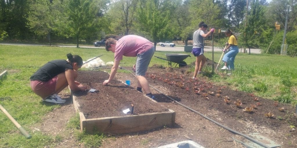 Students tend to community garden