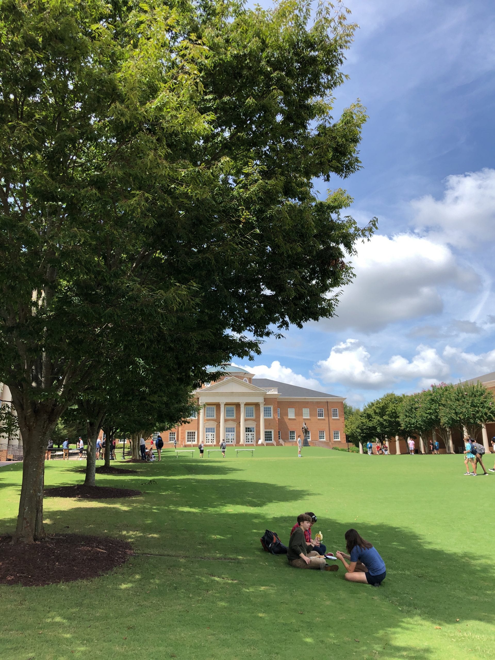 Students on quad in the shade of the trees