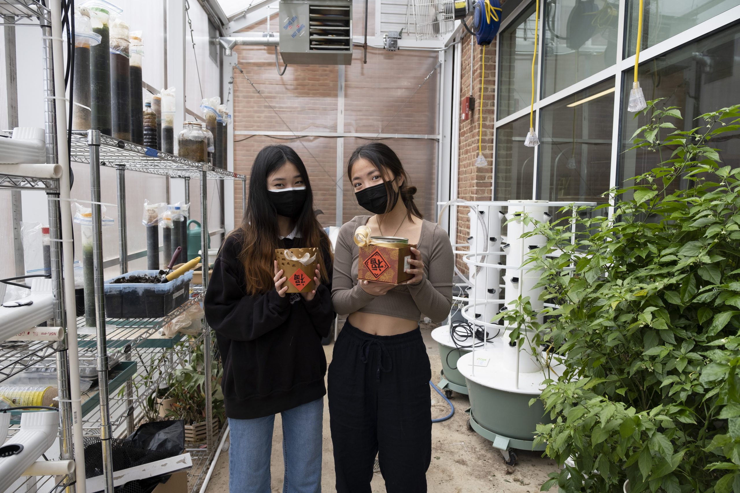 Tour - CMS greenhouse
